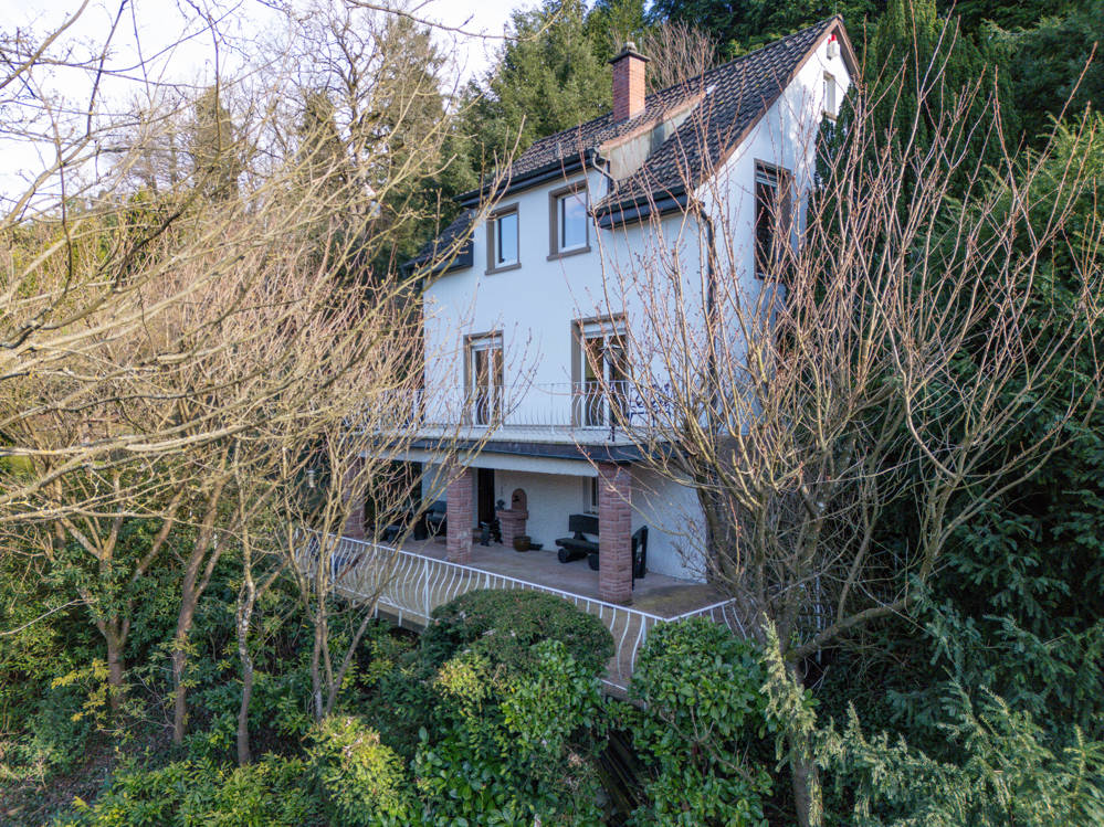 DJI_0253